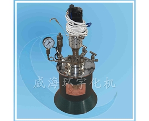 上海磁力反應釜
