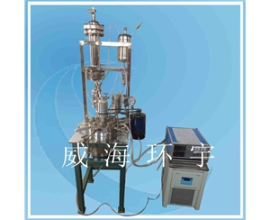 上海Reactor with Recirculating tank