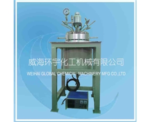 上海10L高壓反應釜