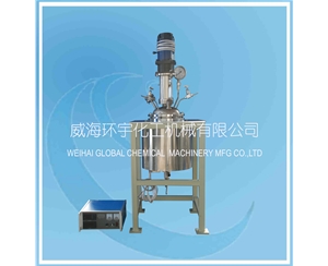 上海10L磁力反應釜