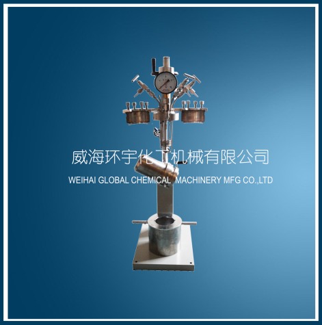 上海mini快開(kāi)升降反應(yīng)釜