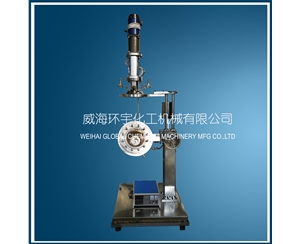 上海實驗室升降翻轉反應釜帶直聯(lián)電機